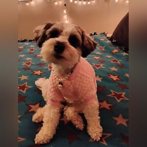 🐶 My Furbaby 🐕Fancy Girl🐶